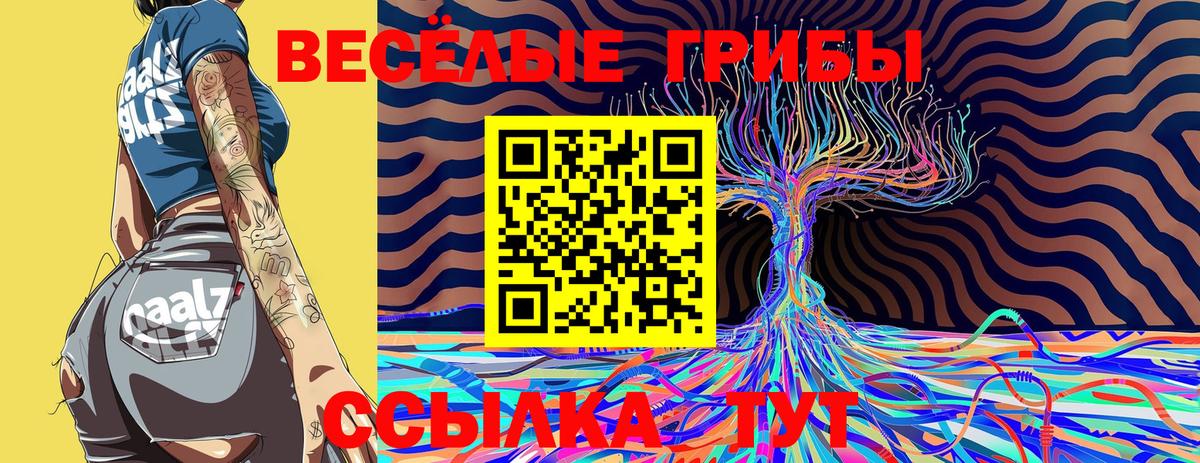 продажа наркотиков  Вход с VPN  Ишимбай  Галлюциногенные грибы GOLDEN TEACHER 