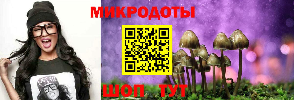 Галлюциногенные грибы мицелий Ишимбай